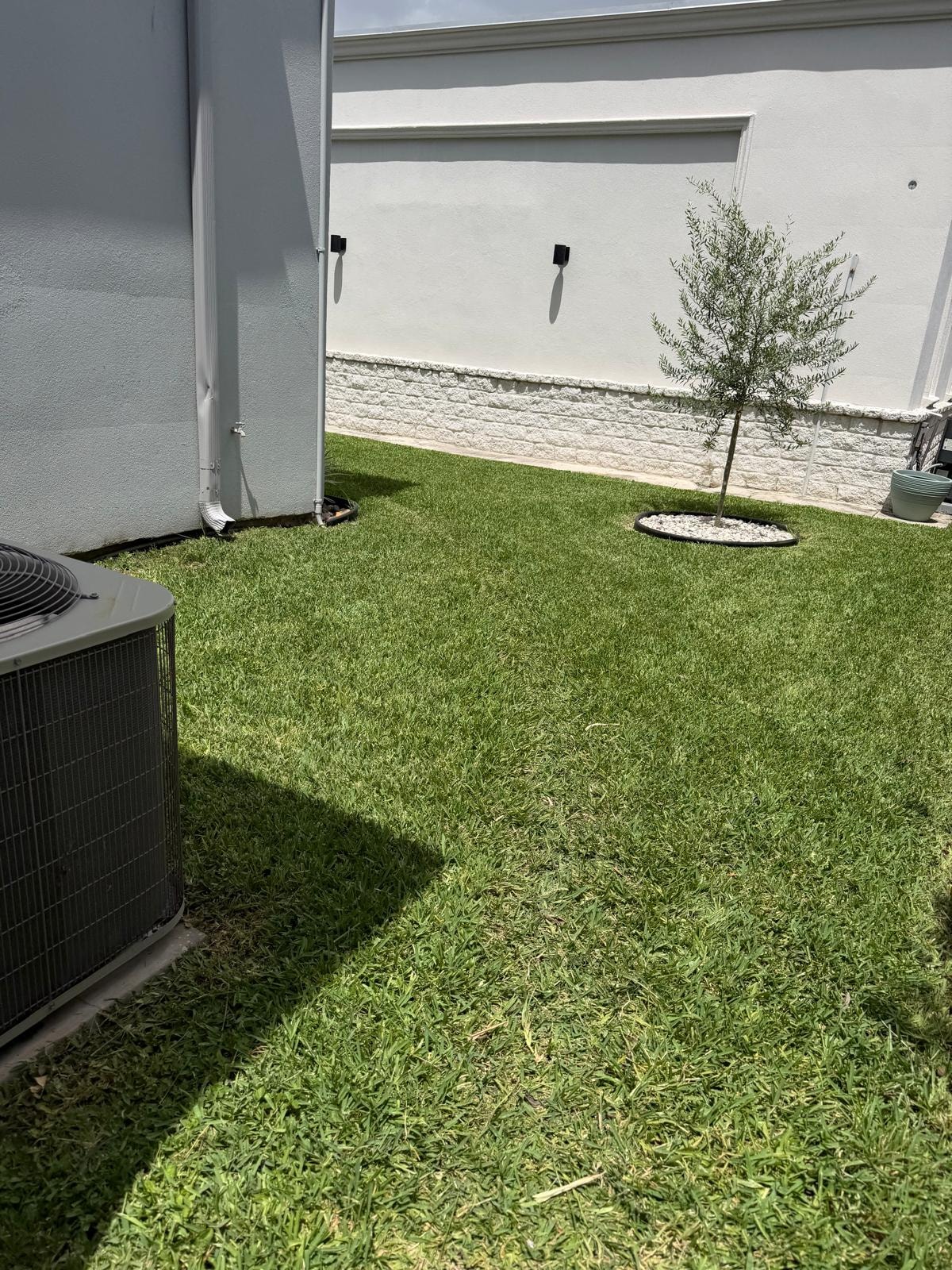 Side Yard Grass Installation