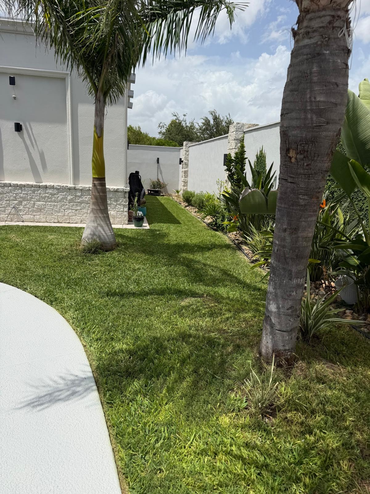 Tropical Backyard Landscaping