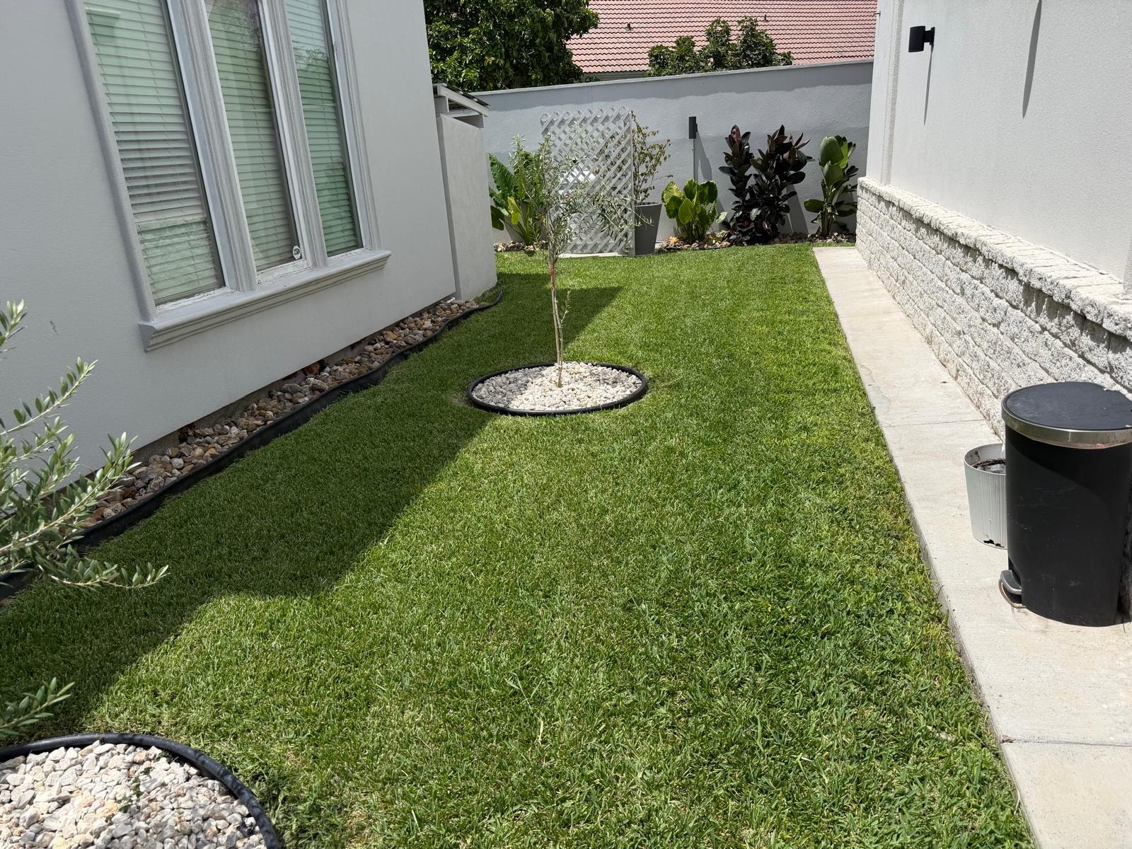 Courtyard Lawn & Landscaping